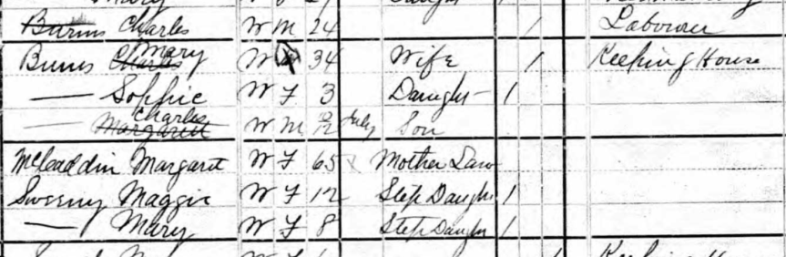 1880-census
